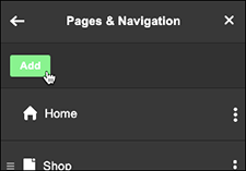 Click Add in Pages & Navigation panel