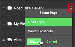 Select destination page, click Move