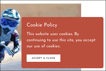 example cookie notice