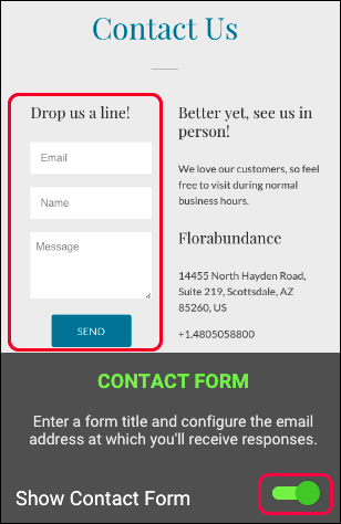 Show Contact Form button is on by default