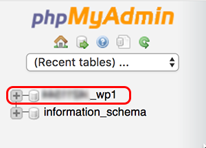 list of databases in phpMyAdmin