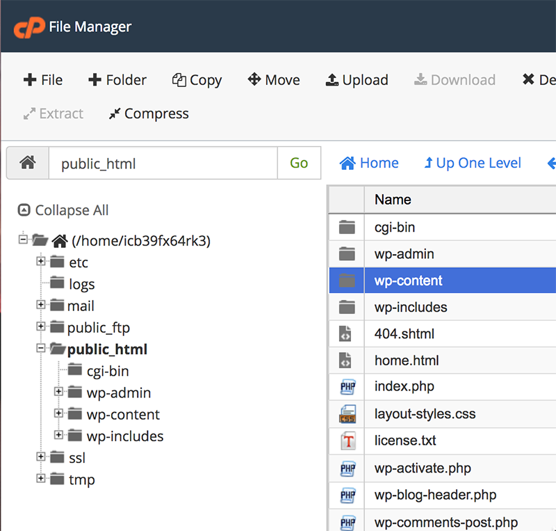 download all files from cpanel