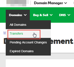 Domain Transfer menu option