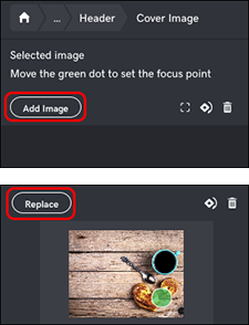 click Add Image or Replace button