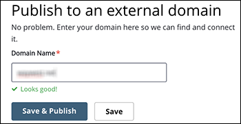 enter external domain name