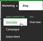 Click Overview in Marketing menu