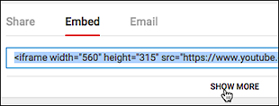 Click Embed and then Show More